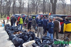 Actiunea de ecologizare - Paduri mai curate 2011